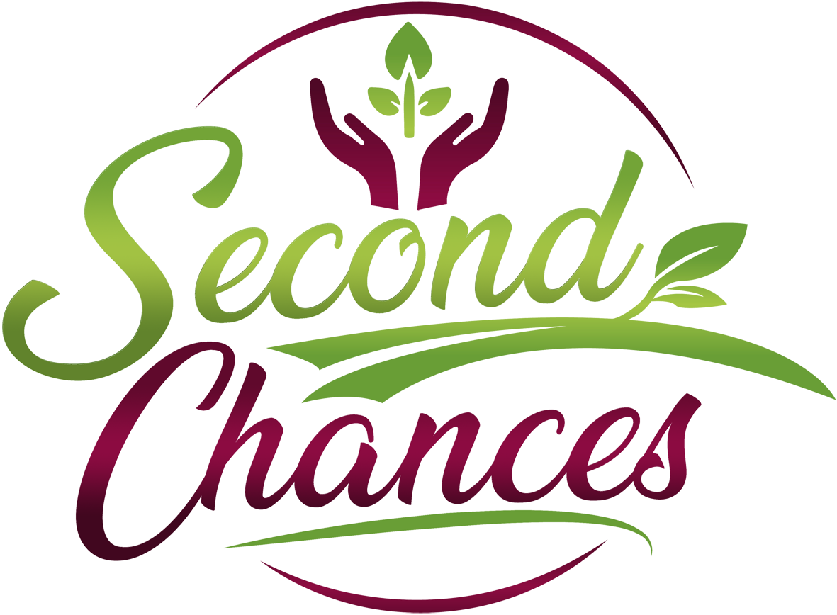 Second Chances SA
